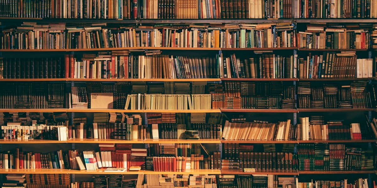 Where Does Your Content Actually Live? A Business Owner's Guide to Headless CMS